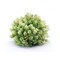 Melrose Variegated Foliage Half Orb Artificial Christmas Bushes - 6.5" - Set of 2
